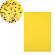 gbifzutdjp zevo flying insect trap Sticky 1Pc Catching Aphid Board tools \u0026 Home Improvement